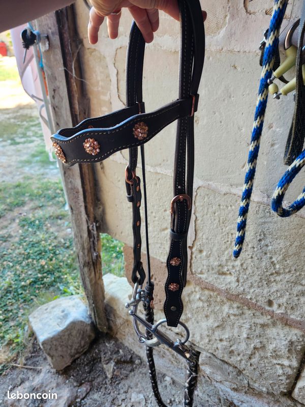 Bridon STONEDEEK Rosegolden Dream+ Rênes Quick Release Ends (image 3)