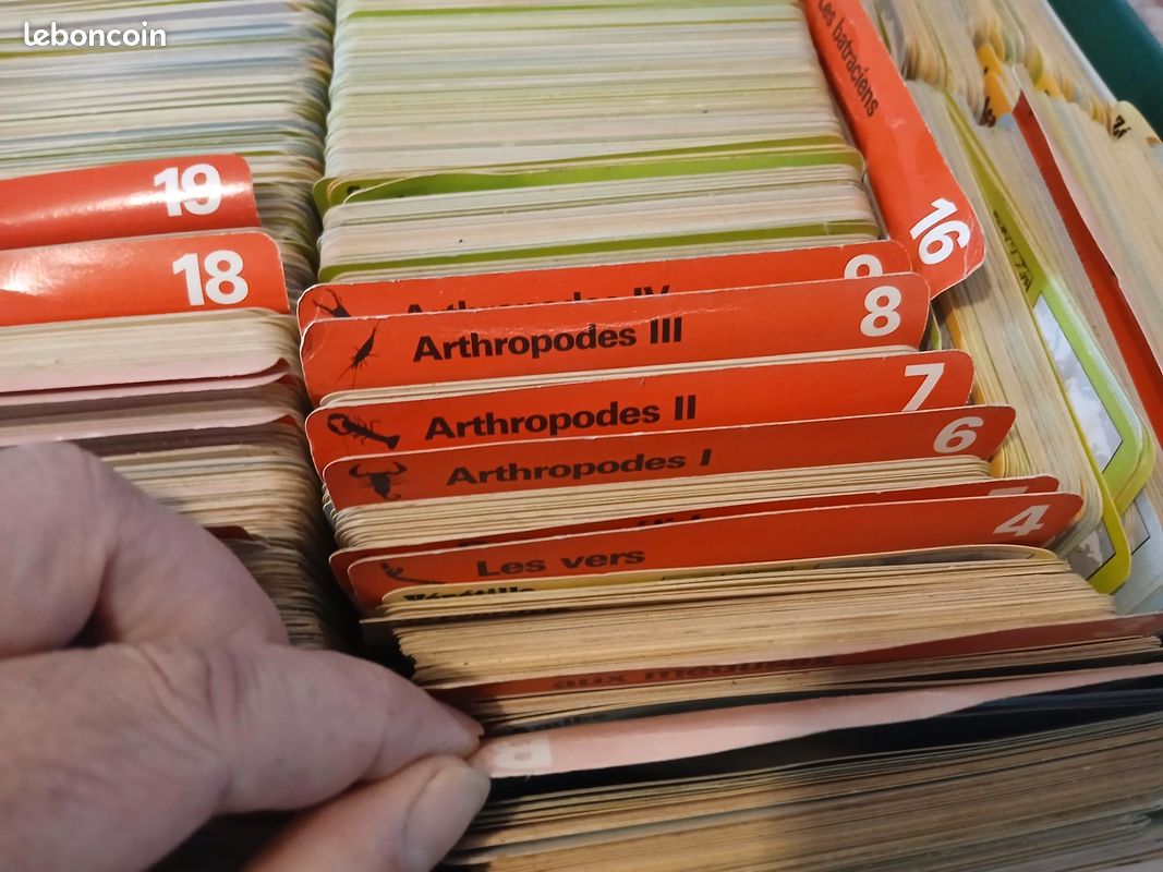Carte Collection Rencontre 1979 - Ski Alpin, Annie Famose, édition