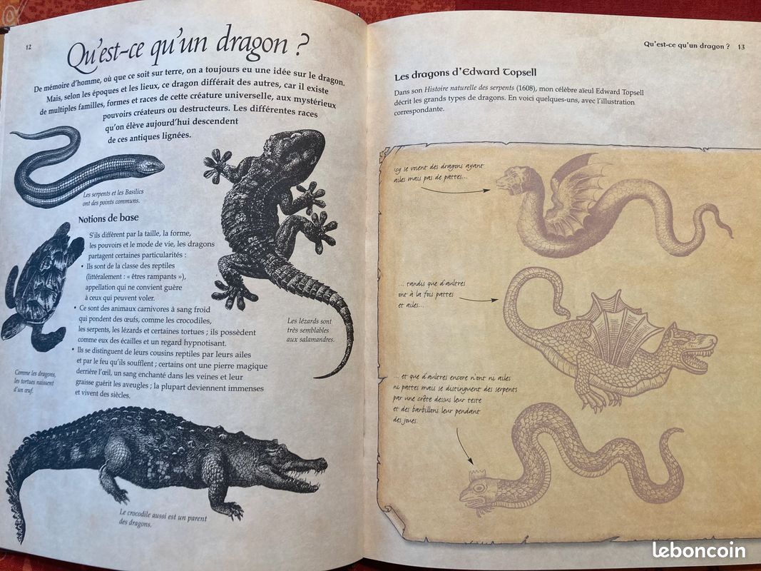 Livre sur les dragons (image 5)