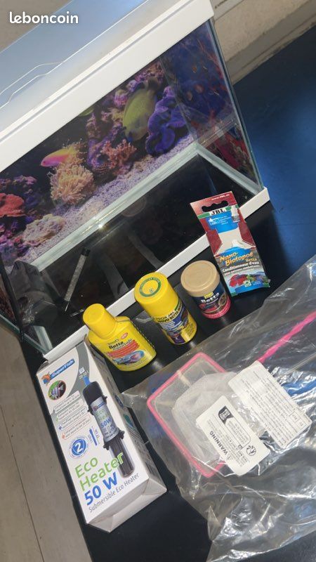 Aquarium et décoration (image 1)