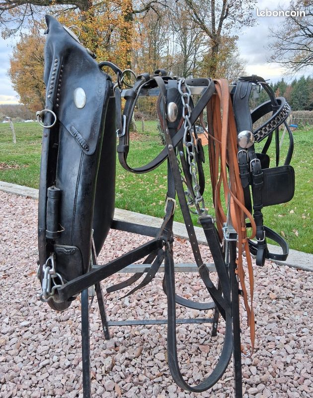 Collier De Traction En Cuir Showman Avec Poils De Vache - Pour Chevaux