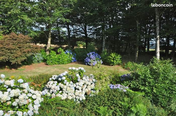 Location saisonnière gîte LES HORTENSIAS (image 8)