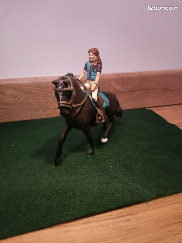 Cheval et sa cavalière (image 1)