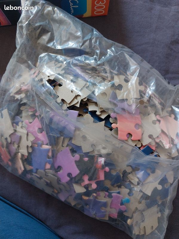 Puzzle 300 pièces (image 4)