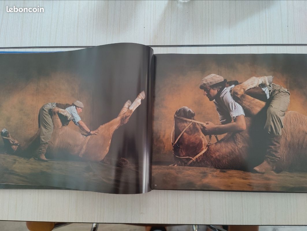Chevaux par Gouraud jean-louis, arthus-bertrand éditions du chêne (image 9)