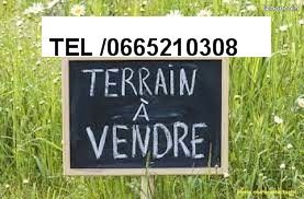 https://img.leboncoin.fr/api/v1/lbcpb1/images/f4/e2/2a/f4e22ad2c2565b9f6f2fe19e5b898b72fedf67c7.jpg?rule=ad-image