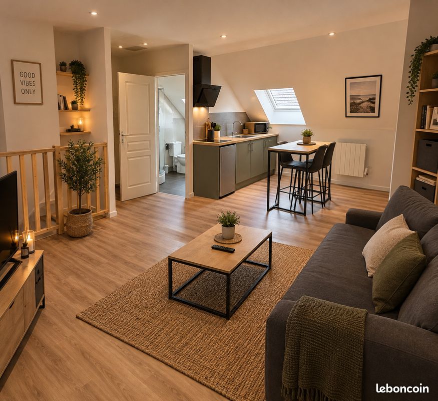 Appartement 1 pièce 40 m² · à Saint-Saulve · 40 m² · 620 €/mois