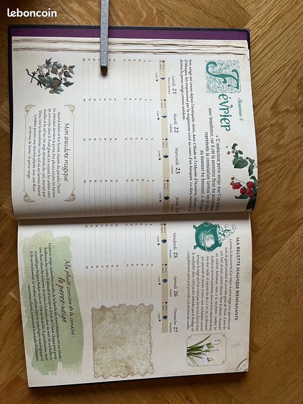 ''Mon Agenda de Sorcière 2022'', M. D'Hennezel, Rustica Éditions (image 8)