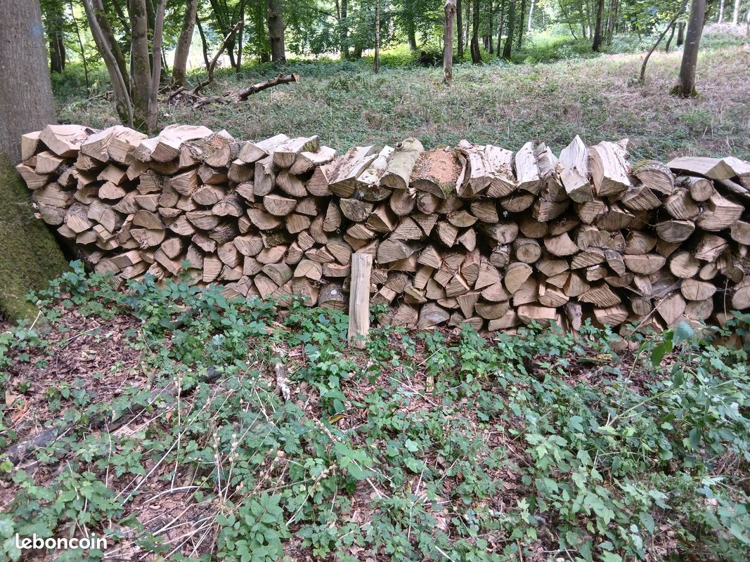 Bois de chauffage (image 1)