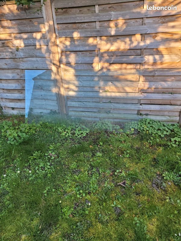 Plateau en verre (image 1)