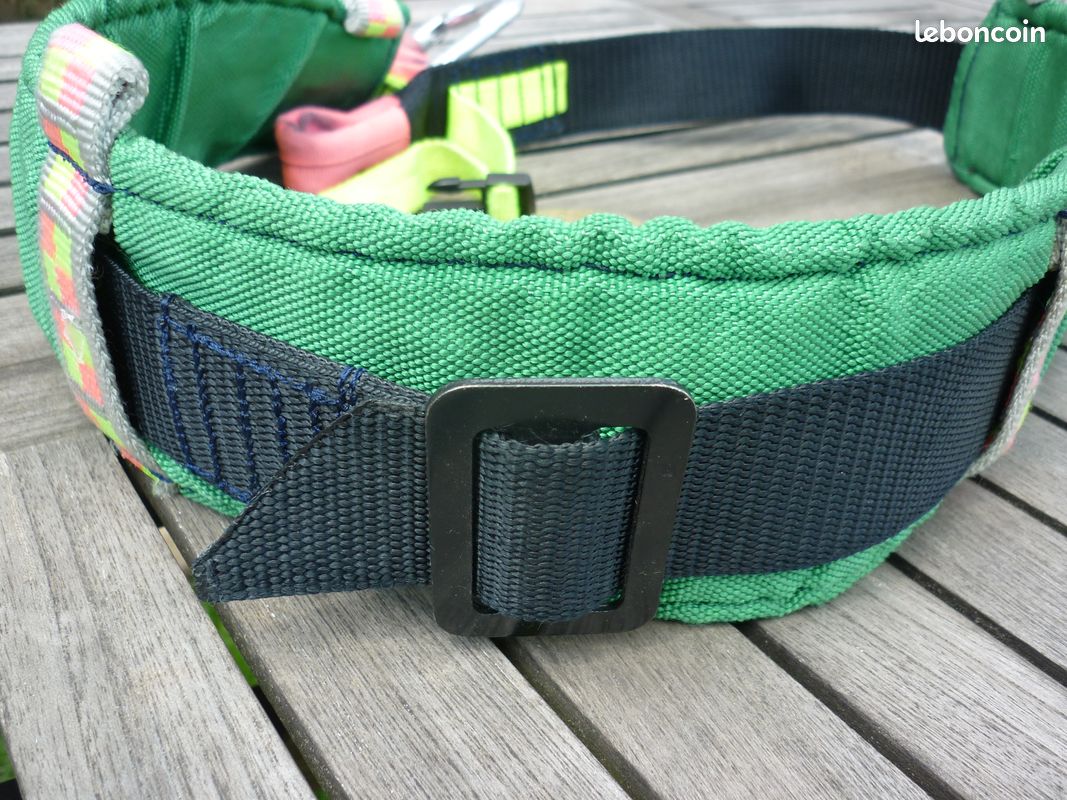 Ceinture pour CANICROSS + HARNAIS chien (image 1)