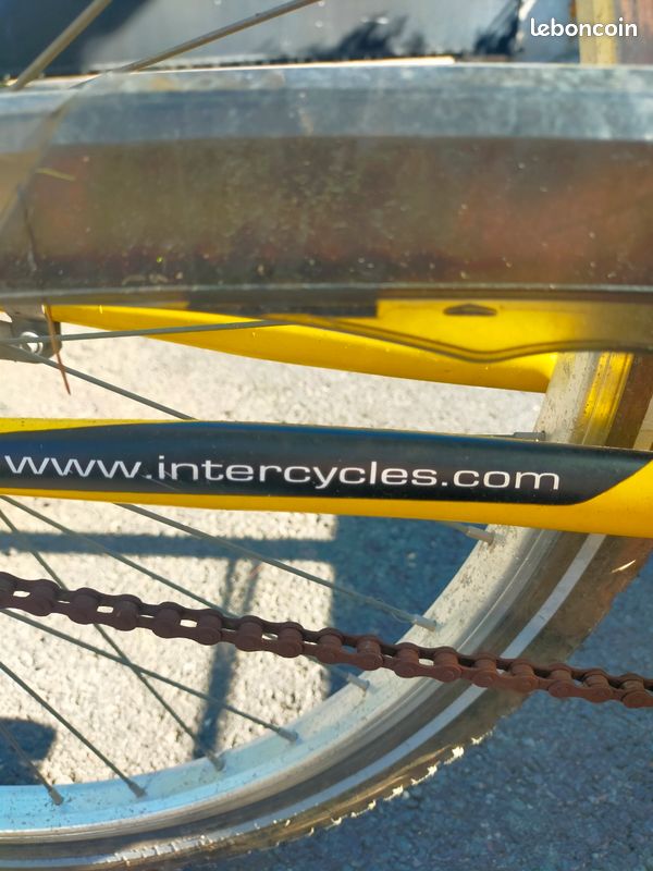 Triporteur vélos utilitaire jaune (image 8)