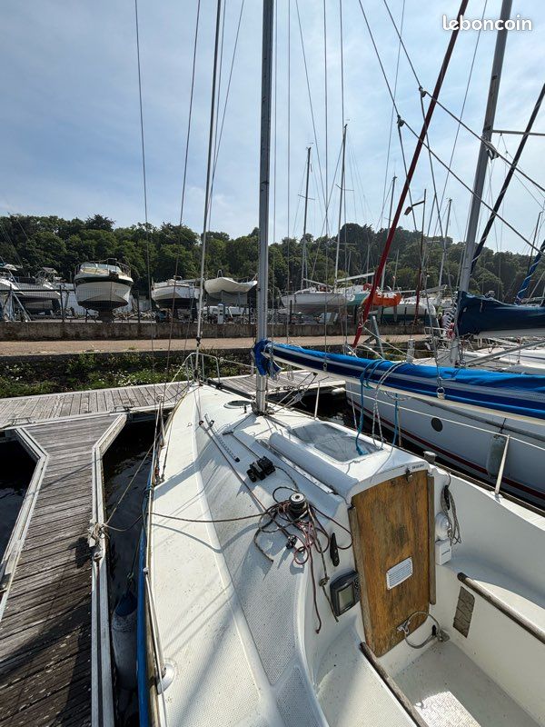 First 210 (image 3)
