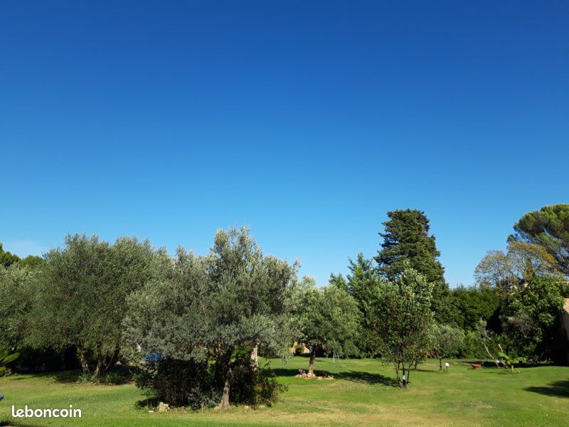 Studio coquet avec piscine chauffée (image 7)