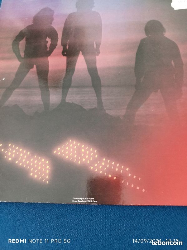 The bee gees vinyle 33t spirit having flow (image 2)