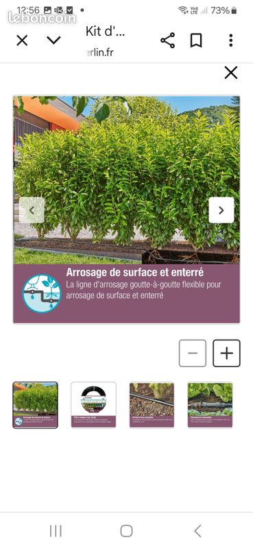 Goutte à goutte arbustes (image 3)