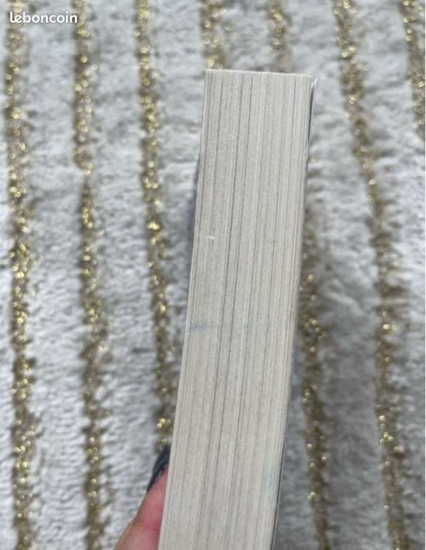 Livre : la femme de ménage (image 7)