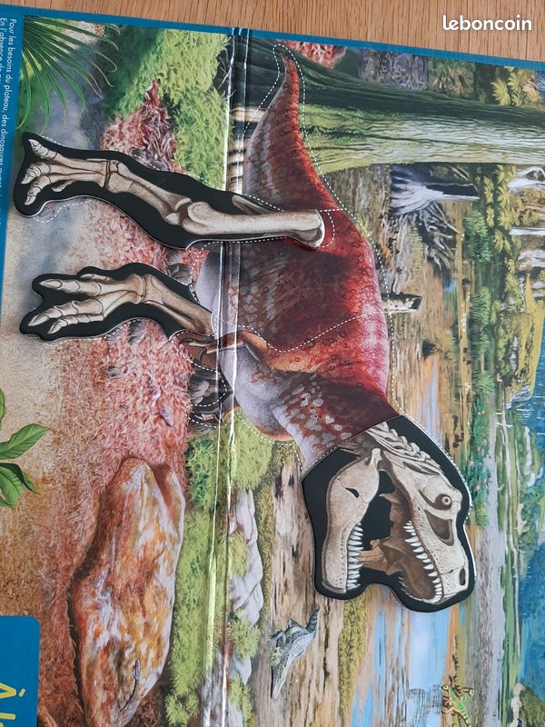 Dinosaures magnétiques plateau +livre (image 13)
