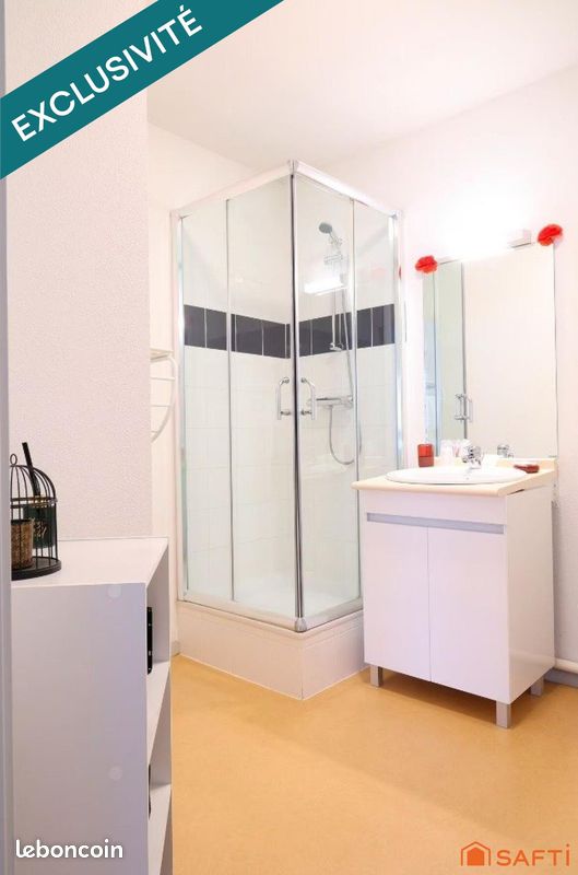 Immeuble 3400 m² LORETZ D ARGENTON (image 19)