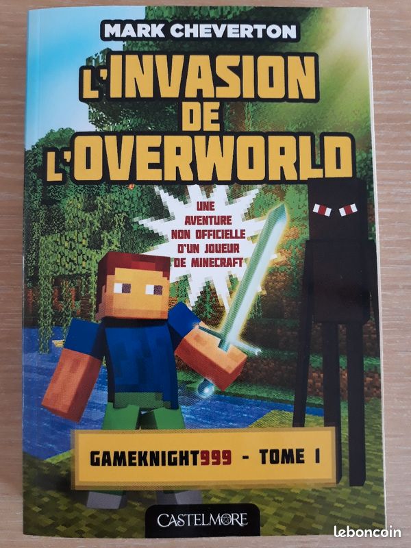 L'invasion de l'overworld (image 1)