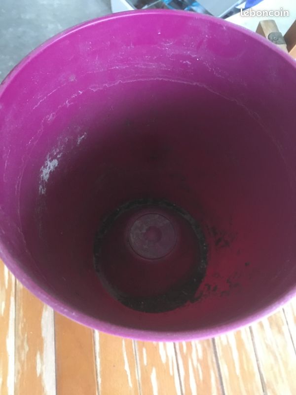 Cache pot spécial orchidée Elho avec fond bombé (image 3)