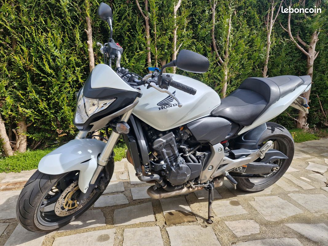 Accossato Guidon Routier Aluminium Pour Honda Hornet 600 (1998-2011) - Qualité Italienne