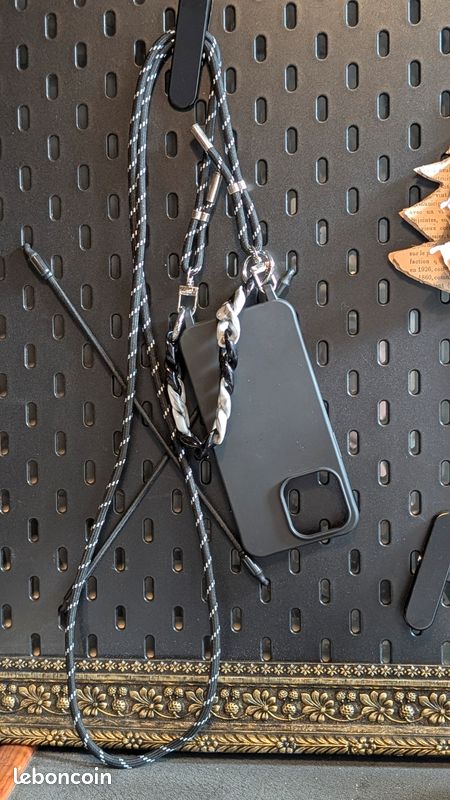 Coques (image 1)