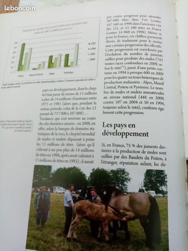 Le Baudet du Poitou, le trait poitevin mulassier et la mule poitevine (image 15)