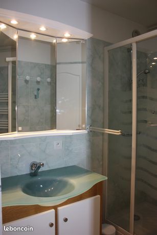 Studio 35M² (2à6 pers) Avec Garage centre station (image 7)