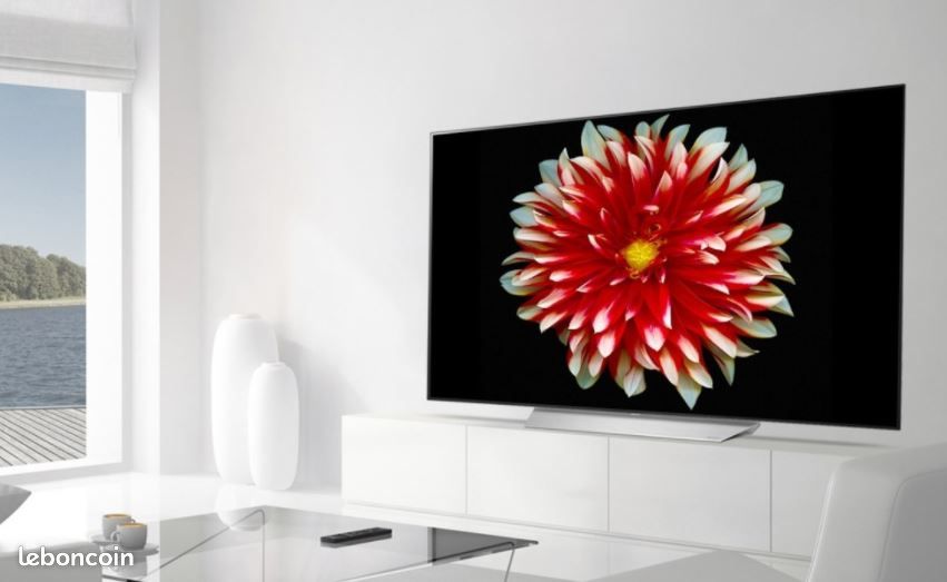 TV LG OLED 55 pouces - comme neuve (image 1)