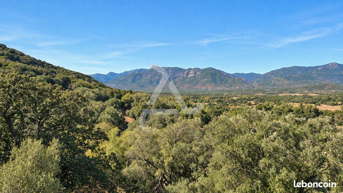 Terrain 18830 m² Porto-Vecchio (image 9)