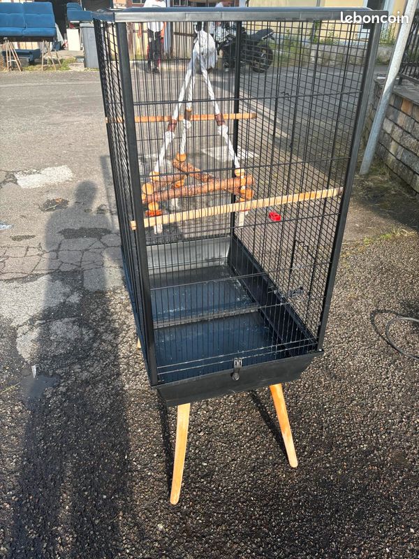 Cage à oiseaux (image 3)