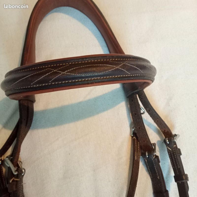 Licol pour cheval rembourré cuir Premier Equine