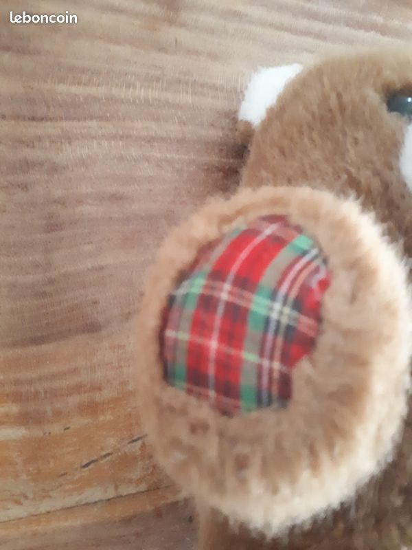 Ourson en peluche (image 5)