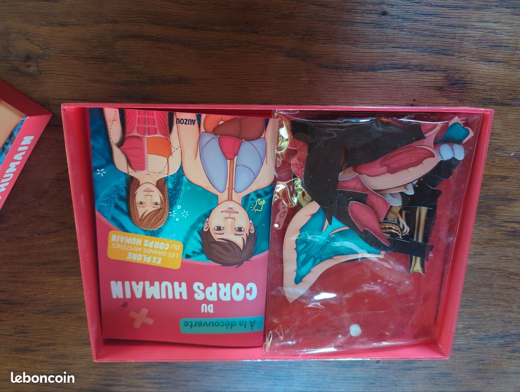 Jeu a la découverte du corps humain (image 2)