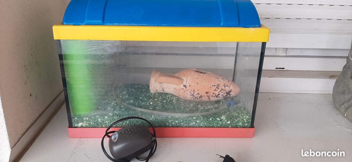 Aquarium complet (image 1)
