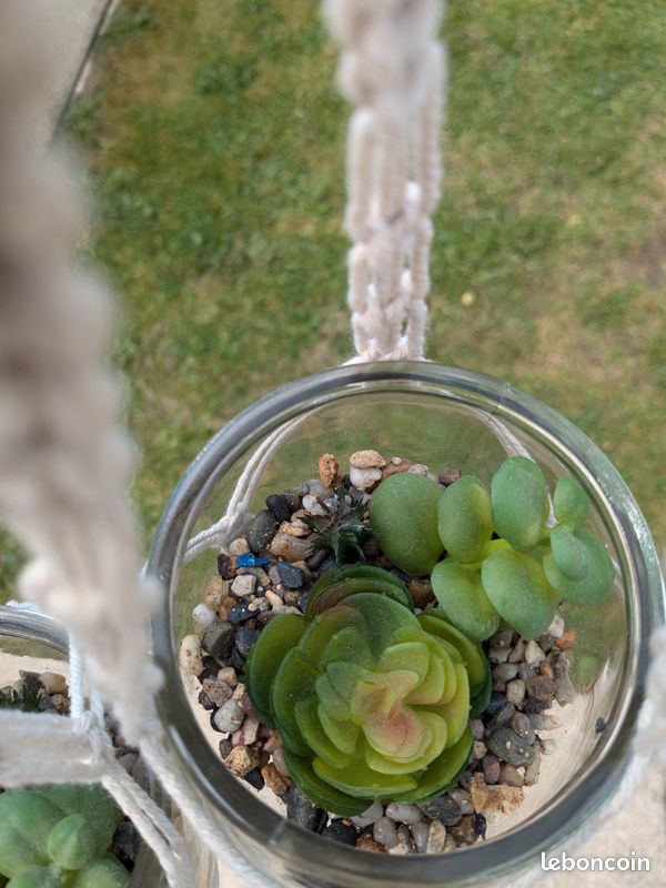 Suspensions fausses plantes (image 2)