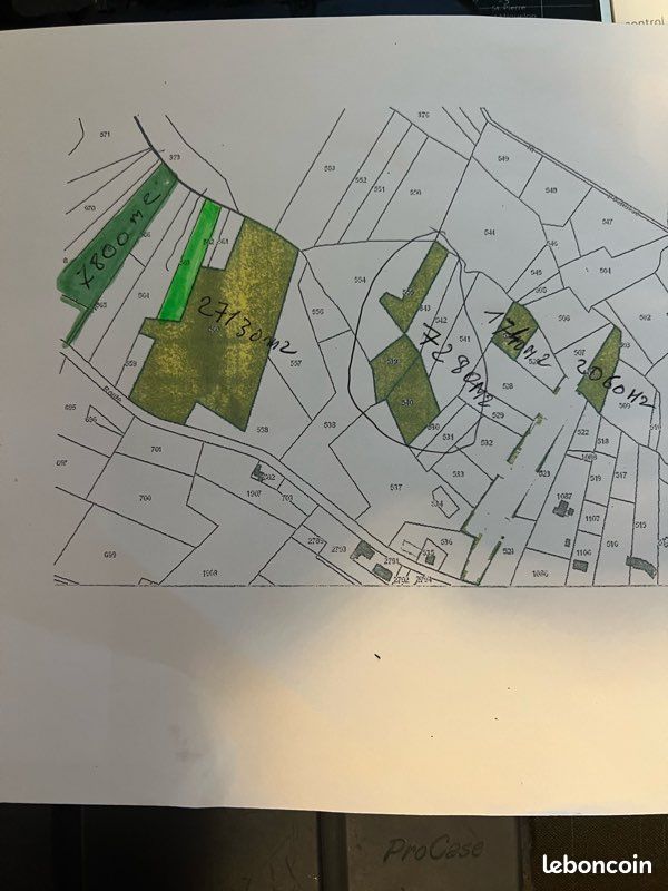 Bois et forêt (image 1)