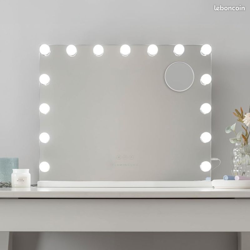 Miroir Coiffeuse - 15 LED - 3 Modes D'Éclairage - Intensité Réglable - Contrôle Tactile - Port USB - Miroir Grossissant Inclus - Blanc - 58x12x48cm [Classe énergétique G] (image 5)