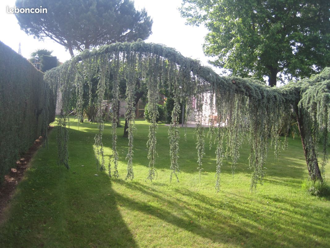 Location maison (image 2)