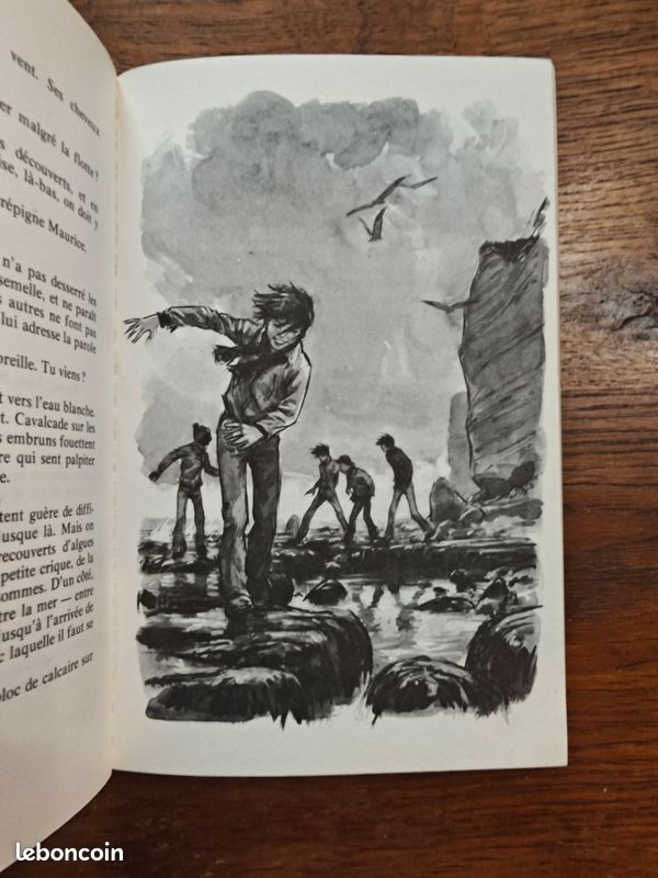 Le coup d'envoi de Philippe Avron Signe de piste illustrations de Pierre JOUBERT (image 6)