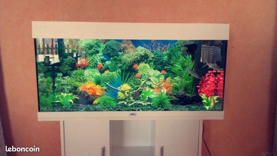 Aquarium juwel 180L (image 1)