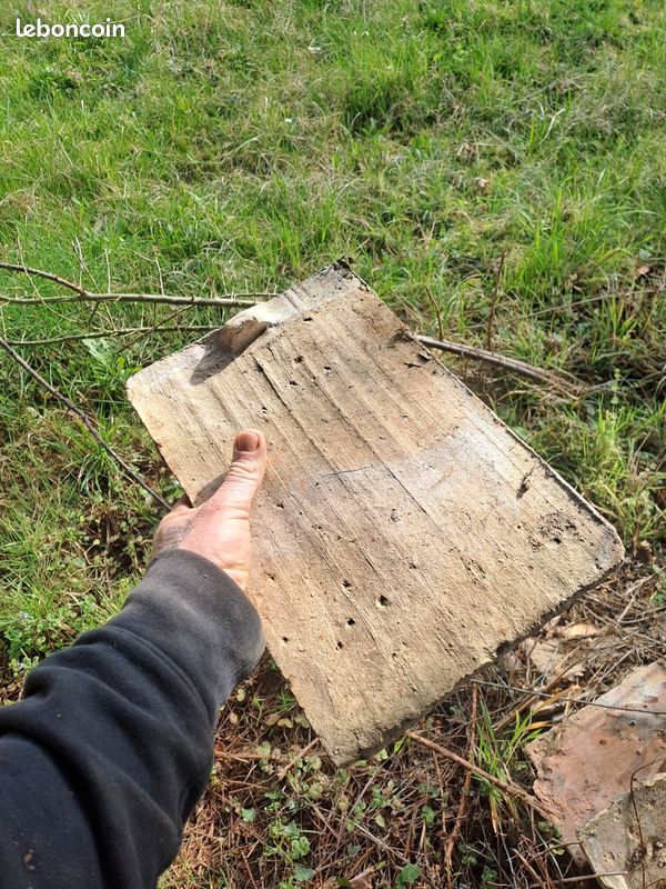 Tuile plate traditionnelle (image 1)