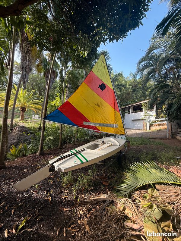 SUNFISH — Vedi foto 1
