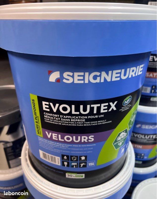Peinture professionnelle Seigneurie – 15L – Nantes & périphérie (image 3)