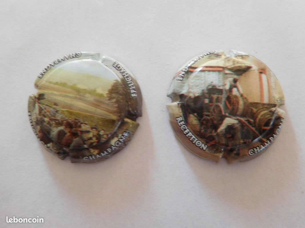 Capsules de champagne (image 1)