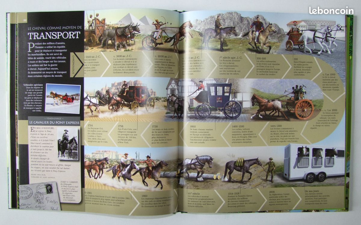 2 livres sur les chevaux -------- DPA (image 3)