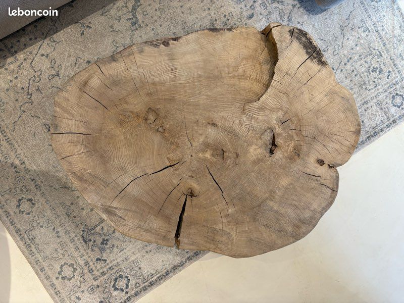 Table basse tronc d’arbre (image 1)