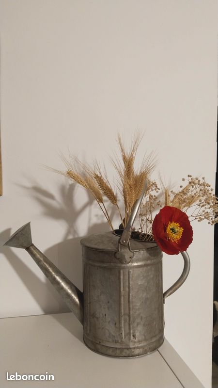Arrosoir Décoratif Métal Style Vintage / Campagne 🌾 (image 1)