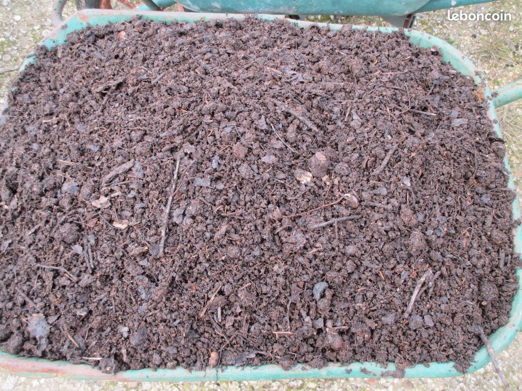Terreau fait maison (image 1)